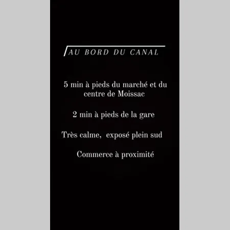 Le Jungle