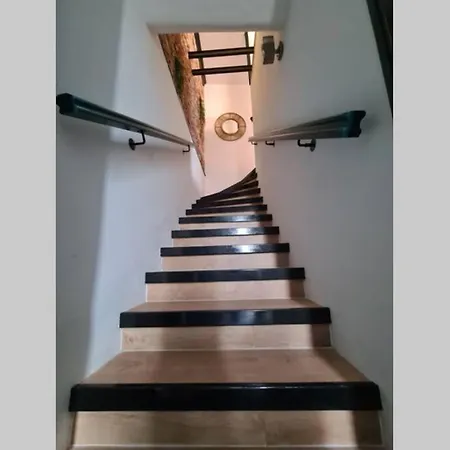 Le Jungle Appartement