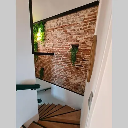 Appartement Le Jungle *