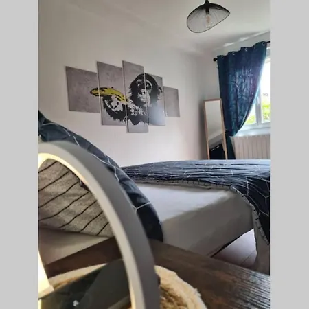 Le Jungle Appartement